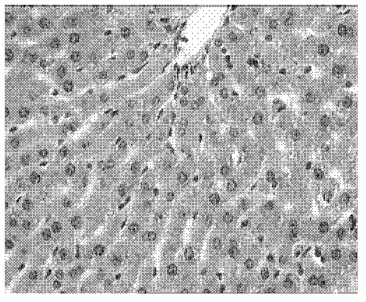 Chinese medicinal composition for treating diabetic fatty liver and preparation process thereof