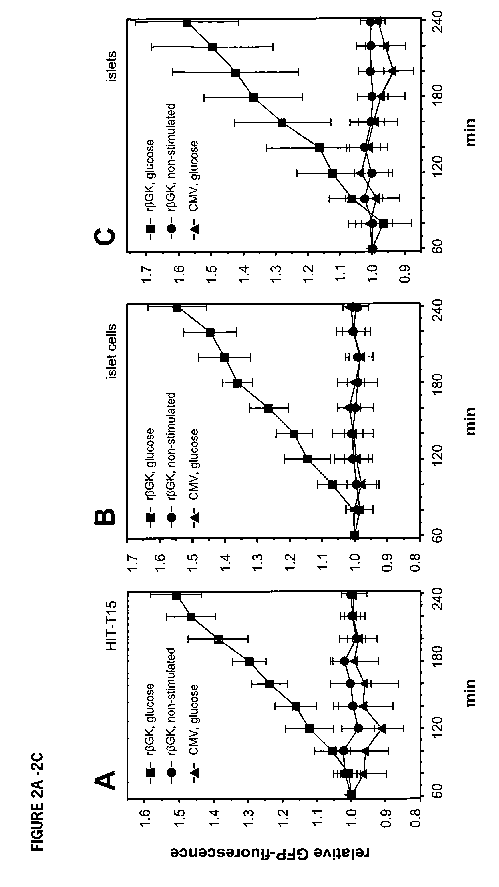 Novel mechanism for identifying drugs for the treatment of type II diabetes