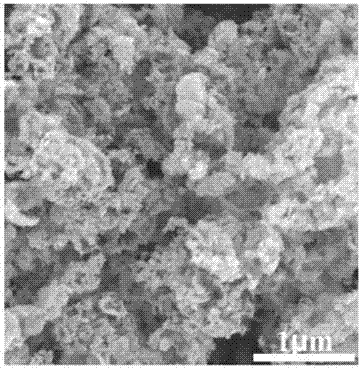 Cobalt sulfide material, preparation method and application of cobalt sulfide material