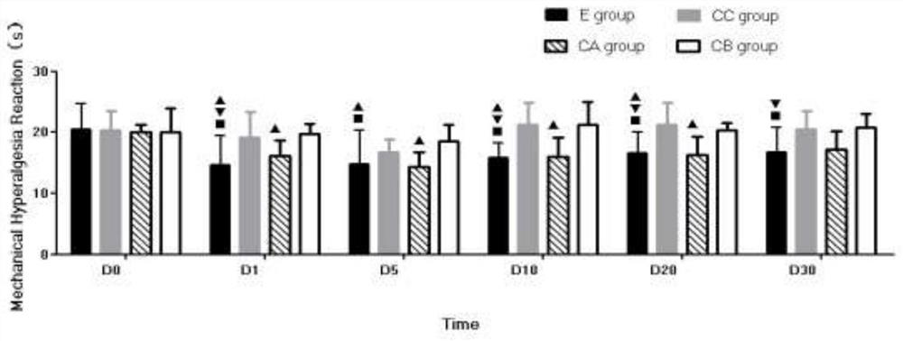 Ventricular catheterization for constructing rat model for researching PHN pinecone excision and construction method thereof