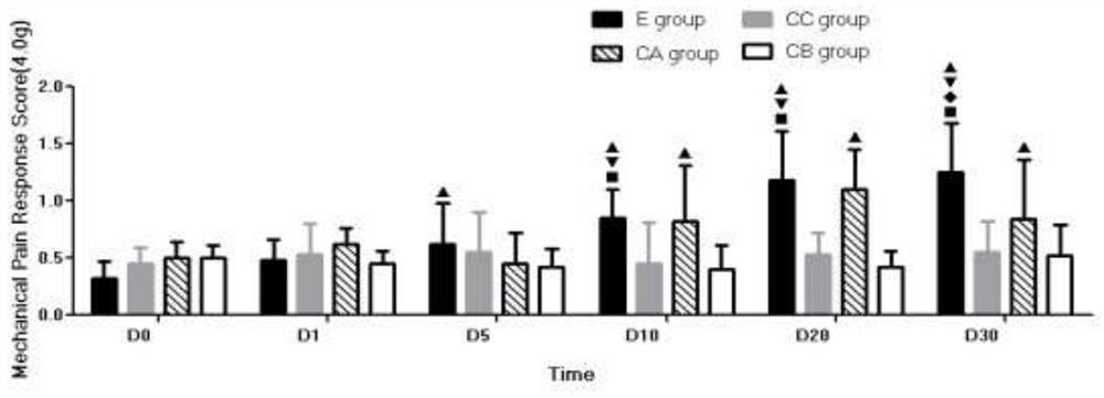 Ventricular catheterization for constructing rat model for researching PHN pinecone excision and construction method thereof