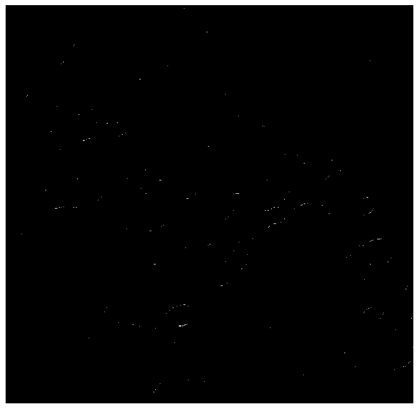 Method for detecting methyl mercury ions