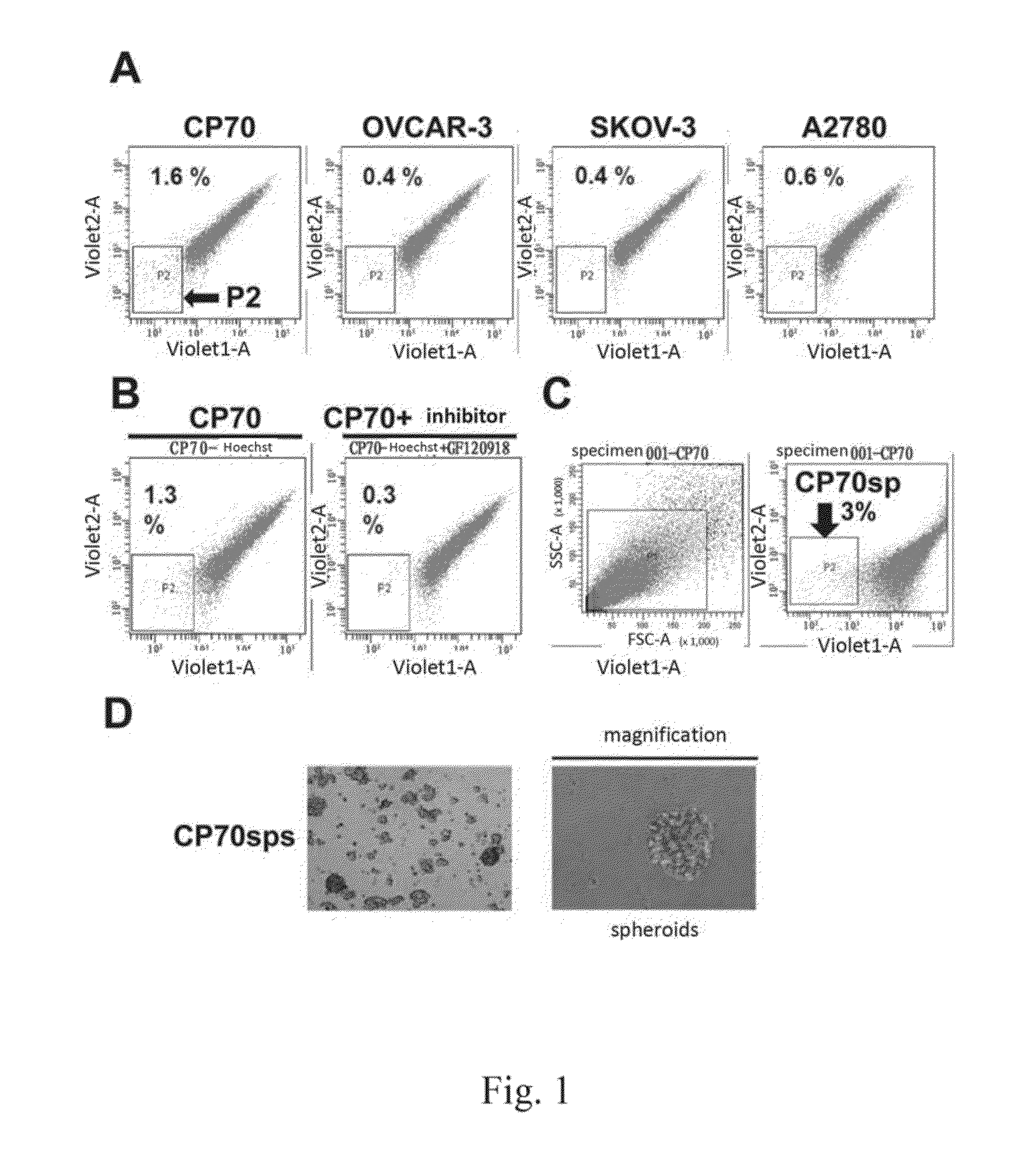 Compounds used for treating cancer and the use thereof