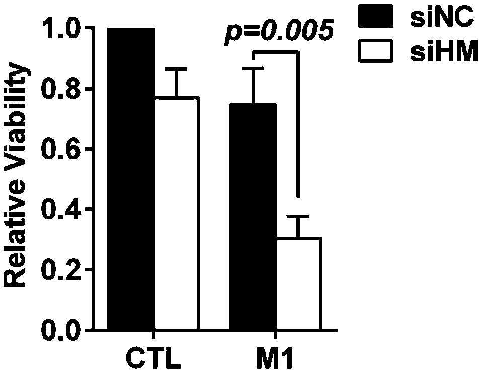 Application of mevalonic acid metabolism pathway inhibitor and alphavirus in preparing antitumor drug