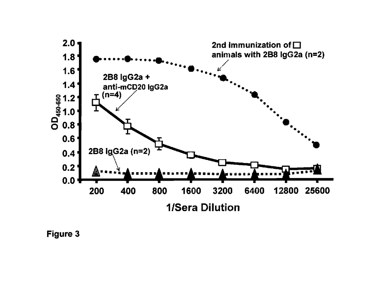 Rapid generation of anti-idiotypic antibodies