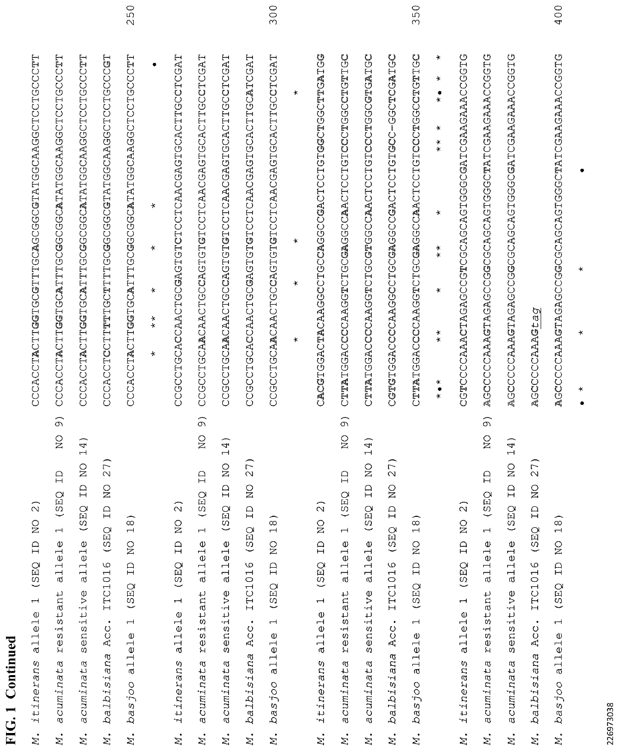 Identification of resistance genes from wild relatives of banana and their uses in controlling panama disease