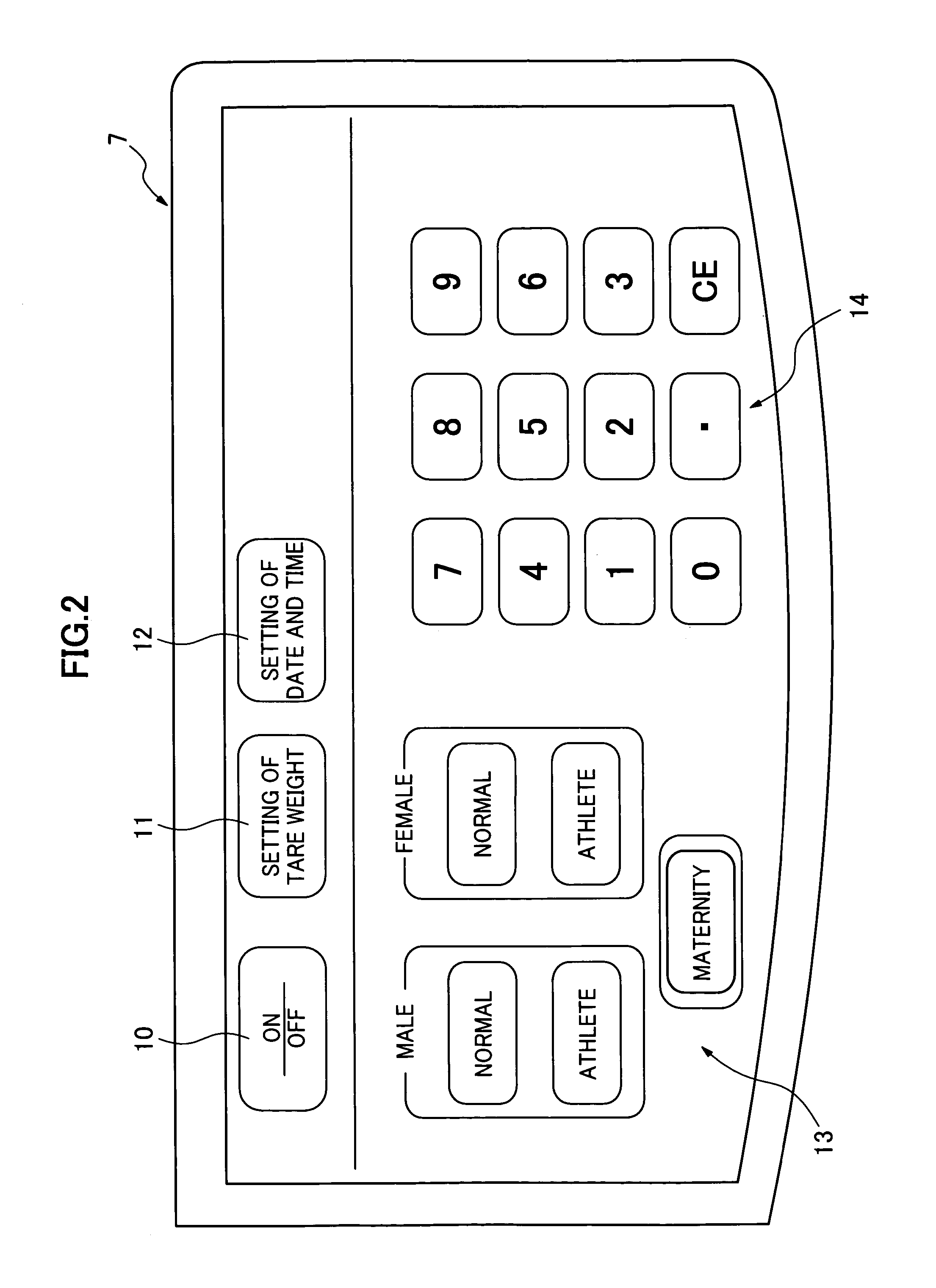 Body composition management apparatus for pregnant woman