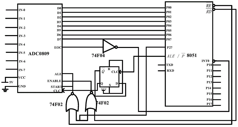 Human body bone mineral density predicting device for predicting risk of osteoporosis