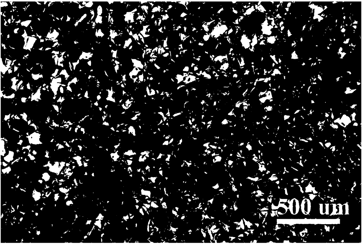 Double-layer composite support for establishing full-thickness skin and preparation method of double-layer composite support