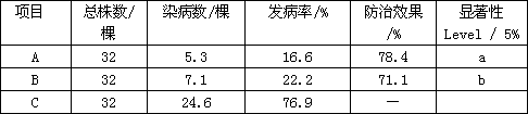 Chlamydospore obtained through liquid fermentation of trichoderma spp and preparation method of chlamydospore