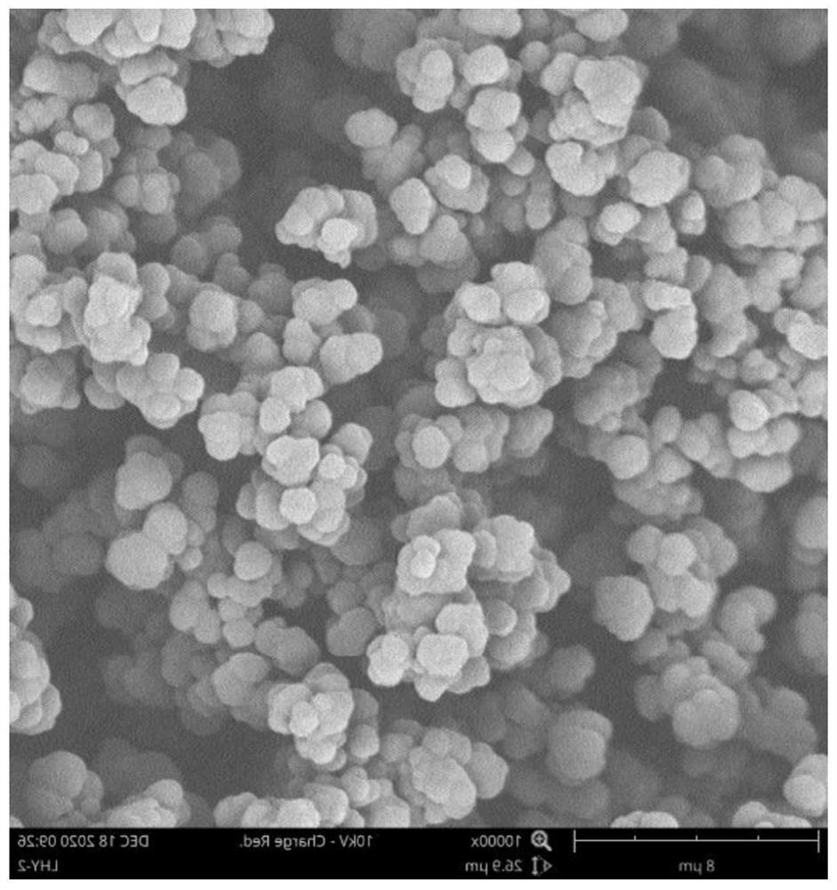 Method for on-line enrichment and purification of diosmetin in dandelion