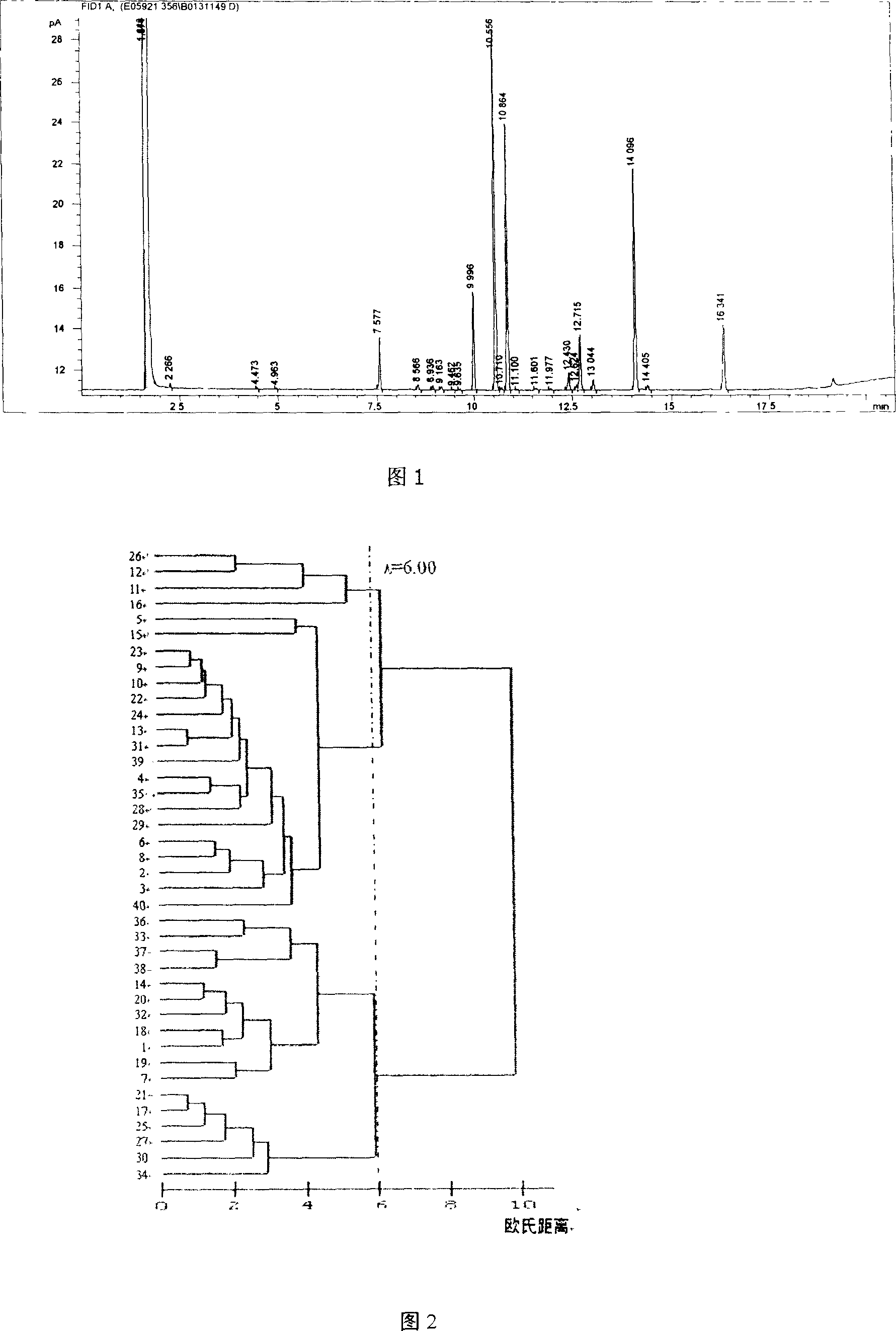 Process of analyzing descending differentiated fatty acid type of Ralstonia solanacearum