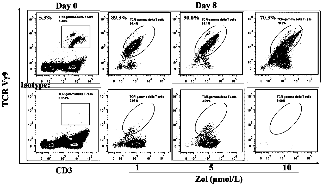 Method for cultivating Chinese rhesus monkey gammadelta T cells