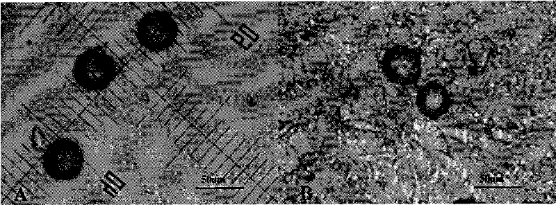 Environment simulating sustained-release storage system and preparation method thereof