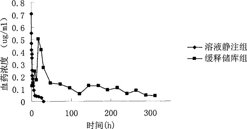 Environment simulating sustained-release storage system and preparation method thereof