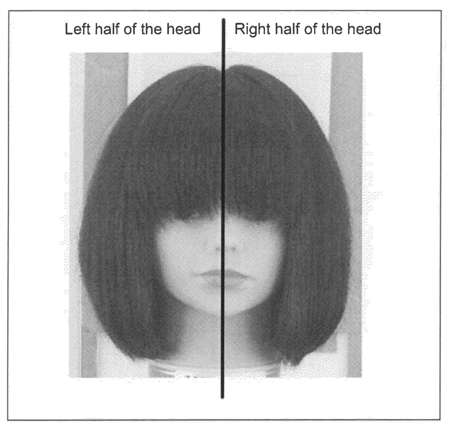 Hair dye composition