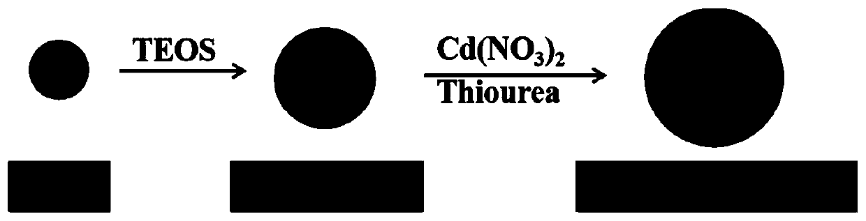 Preparation method and application of superparamagnetic ferroferric oxide@silicon dioxide@cadmium sulfide core-shell nano-structure material