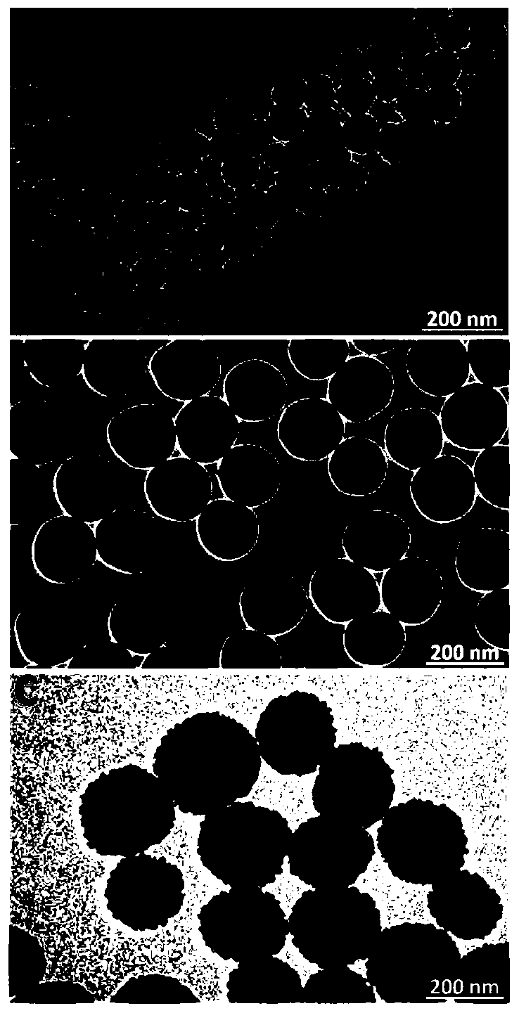 Preparation method and application of superparamagnetic ferroferric oxide@silicon dioxide@cadmium sulfide core-shell nano-structure material