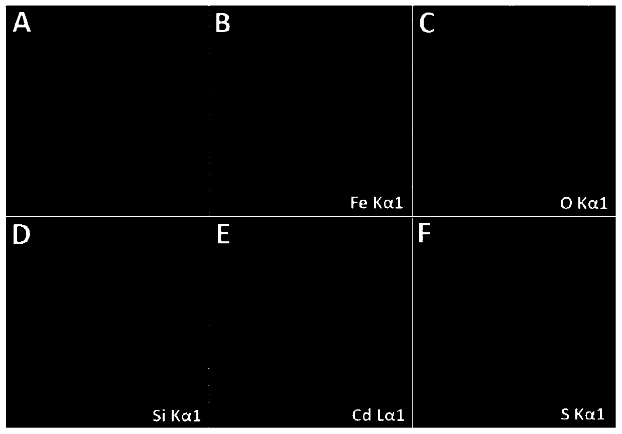 Preparation method and application of superparamagnetic ferroferric oxide@silicon dioxide@cadmium sulfide core-shell nano-structure material