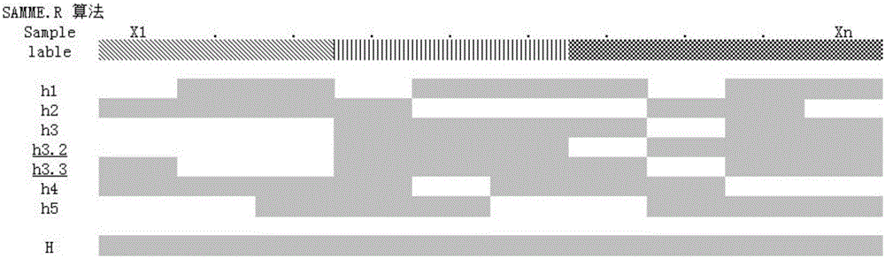 SAMME.RCW algorithm based face recognition optimization method