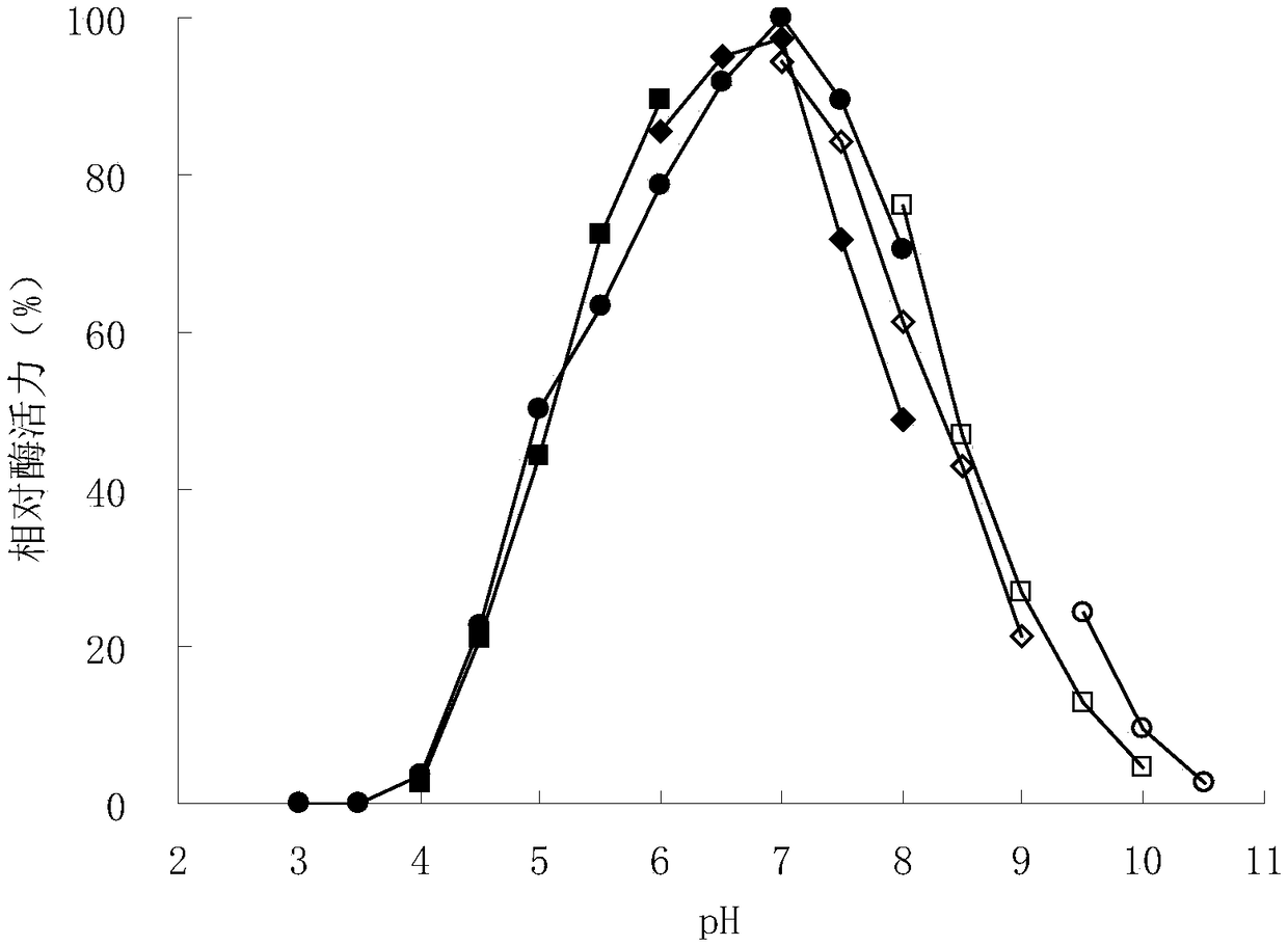 Preparation method of konjaku mannan oligosaccharide and special beta-mannase mutant adopted by same