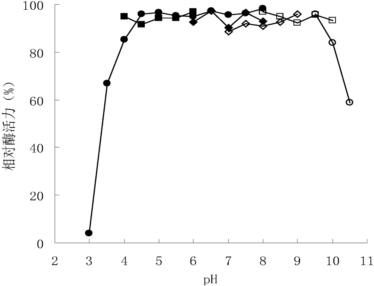 Preparation method of konjaku mannan oligosaccharide and special beta-mannase mutant adopted by same