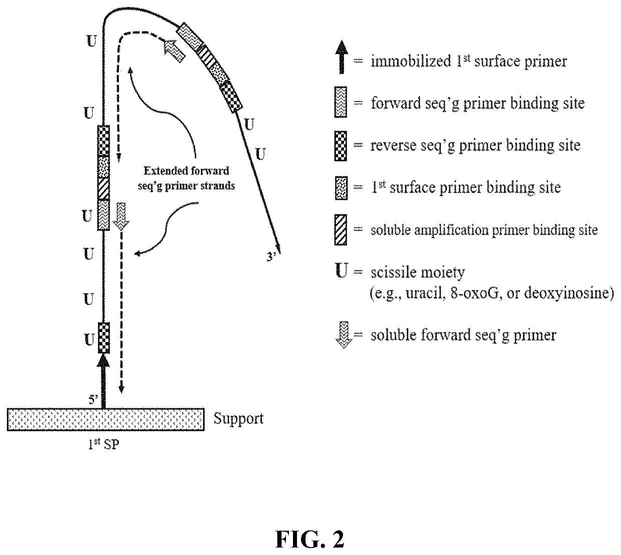 Compositions and methods for pairwise sequencing