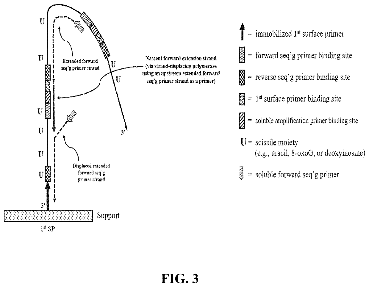 Compositions and methods for pairwise sequencing