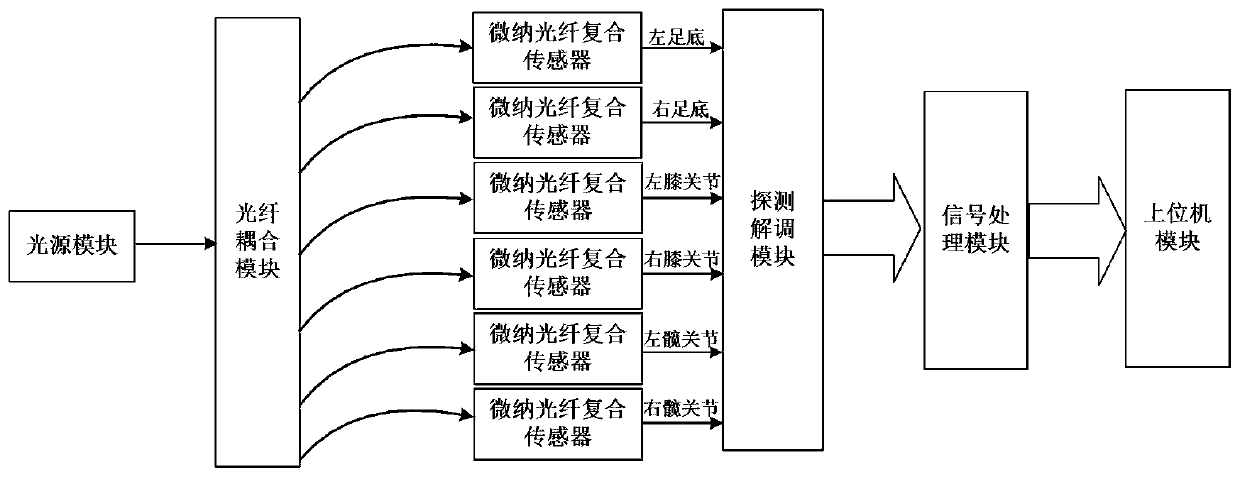 Gait detection and recognition system and method based on micro-nano optical fiber composite sensing