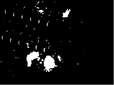 Intelligent power grid high voltage insulation damage monitoring system and method based on ultraviolet imagery