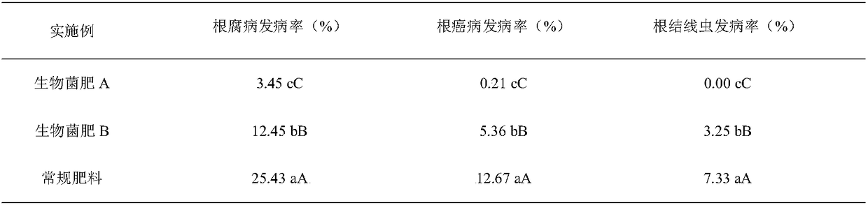 Biological bacterial fertilizer special for tea trees and preparation method and application thereof