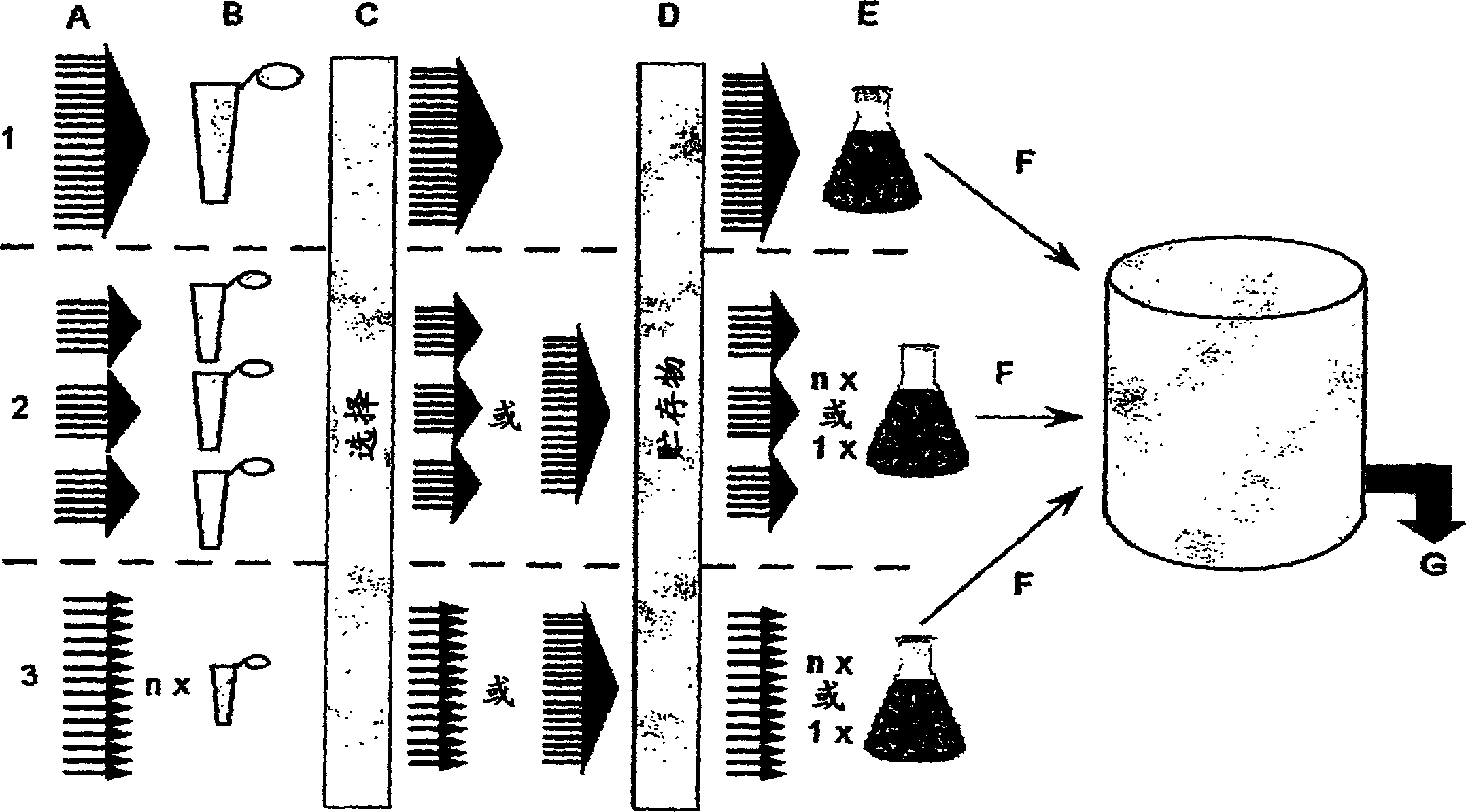 Method for manufacturing recombinant polyclonal proteins