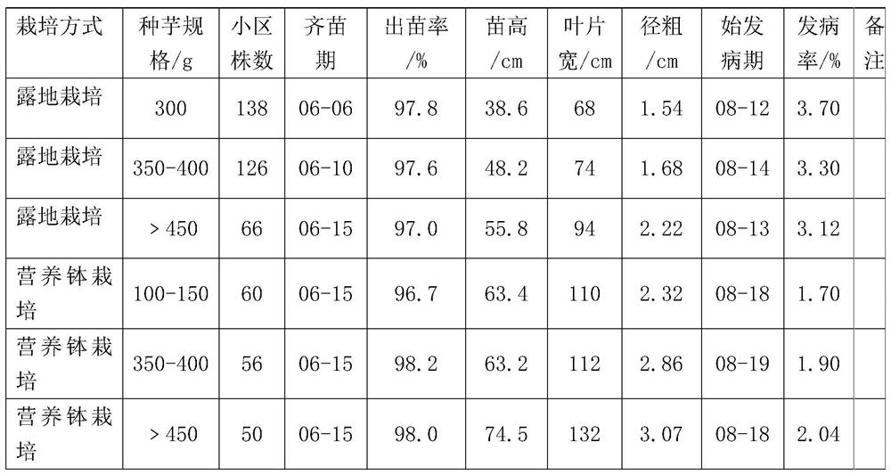 Konjak nutrition pot cultivation method