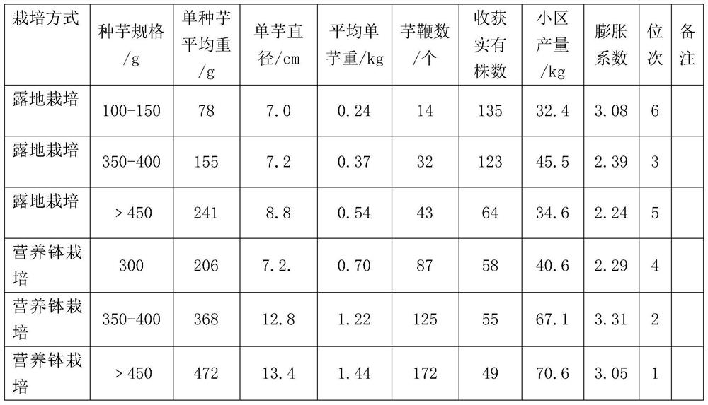 Konjak nutrition pot cultivation method