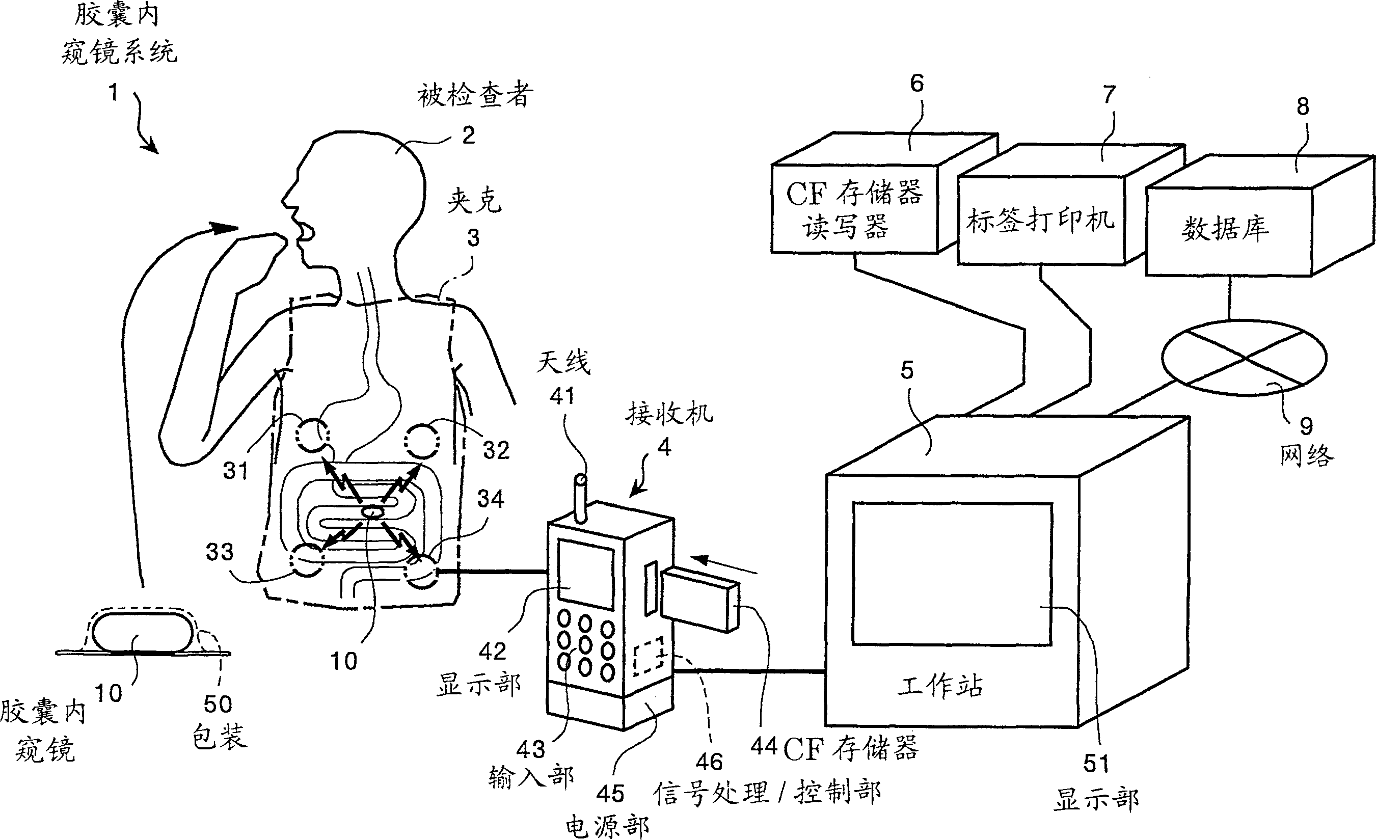 Image display apparatus, image display method, and image display program