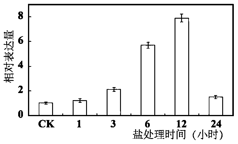 Sodium and hydrogen antiporter pbrnhx2 in Duli pear and its application in improving plant salt tolerance