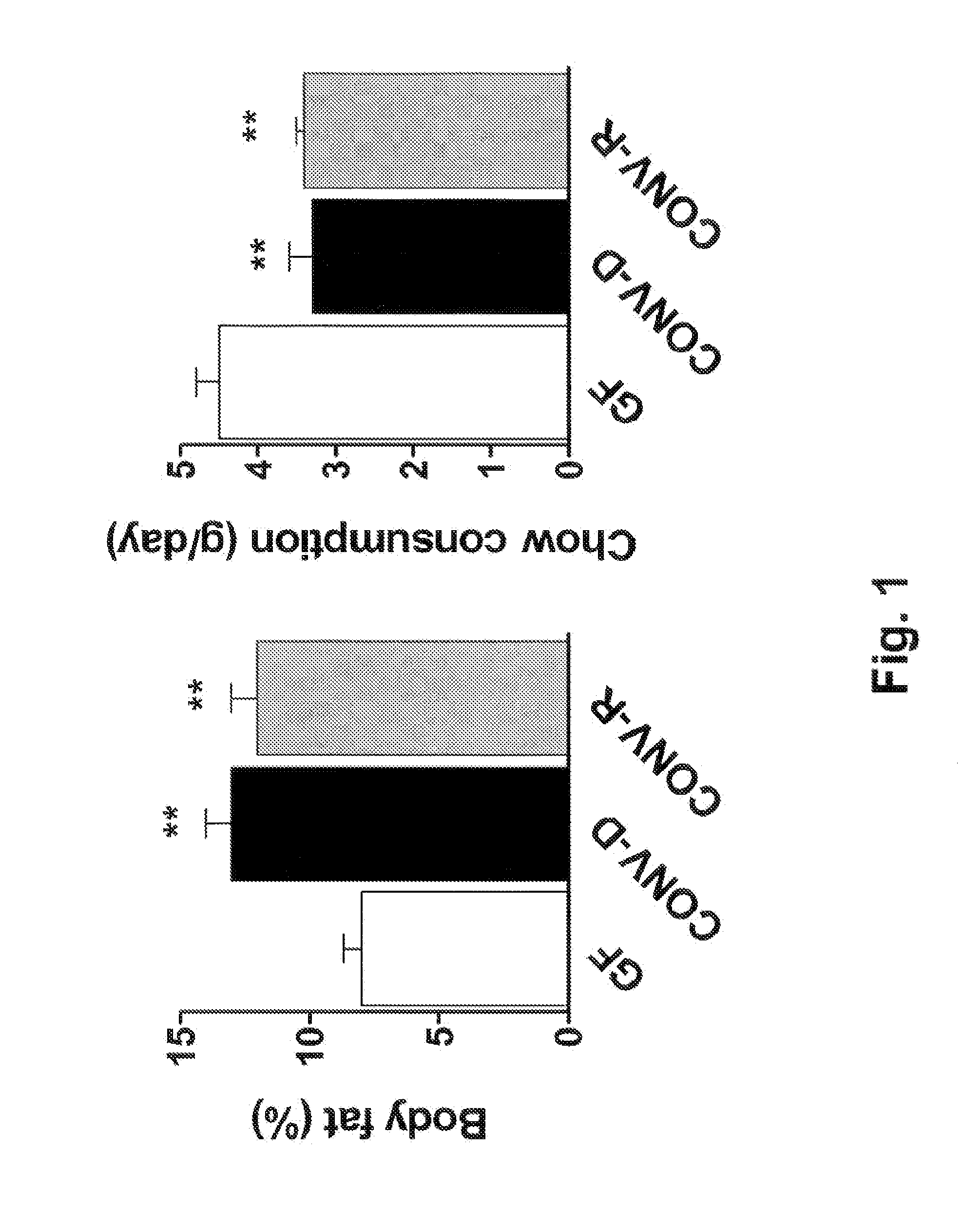 Use of probiotics to ameliorate diet-induced insulin resistance