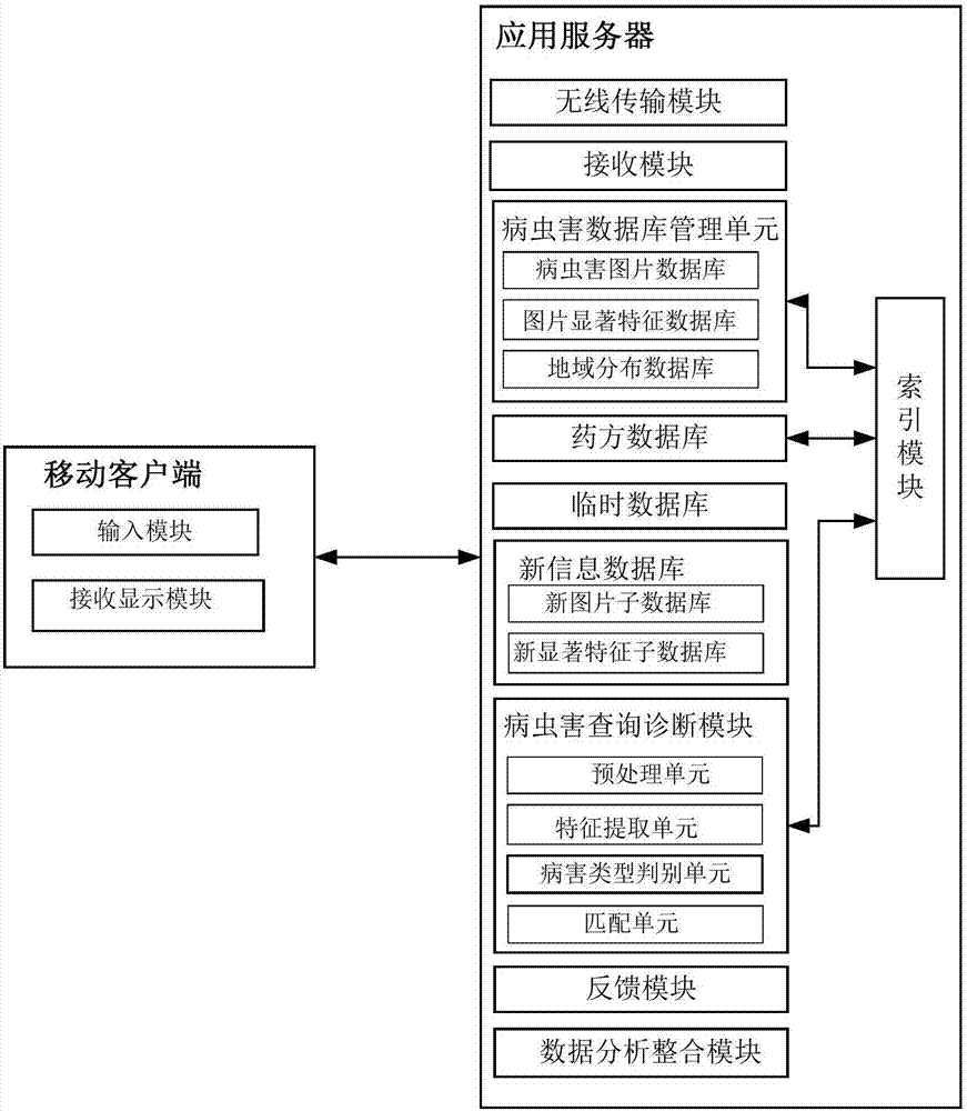 Crop disease and pest diagnosis system and method based on large data