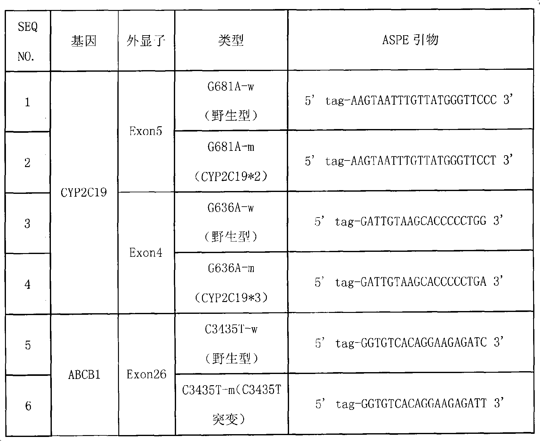 CYP2C19 and ABCB1 gene SNP detection liquid-phase chip and detection method thereof