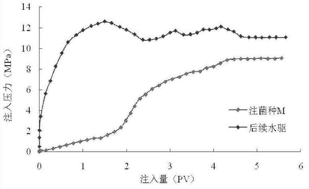 Compound microorganism oil extraction method for low permeability oilfield