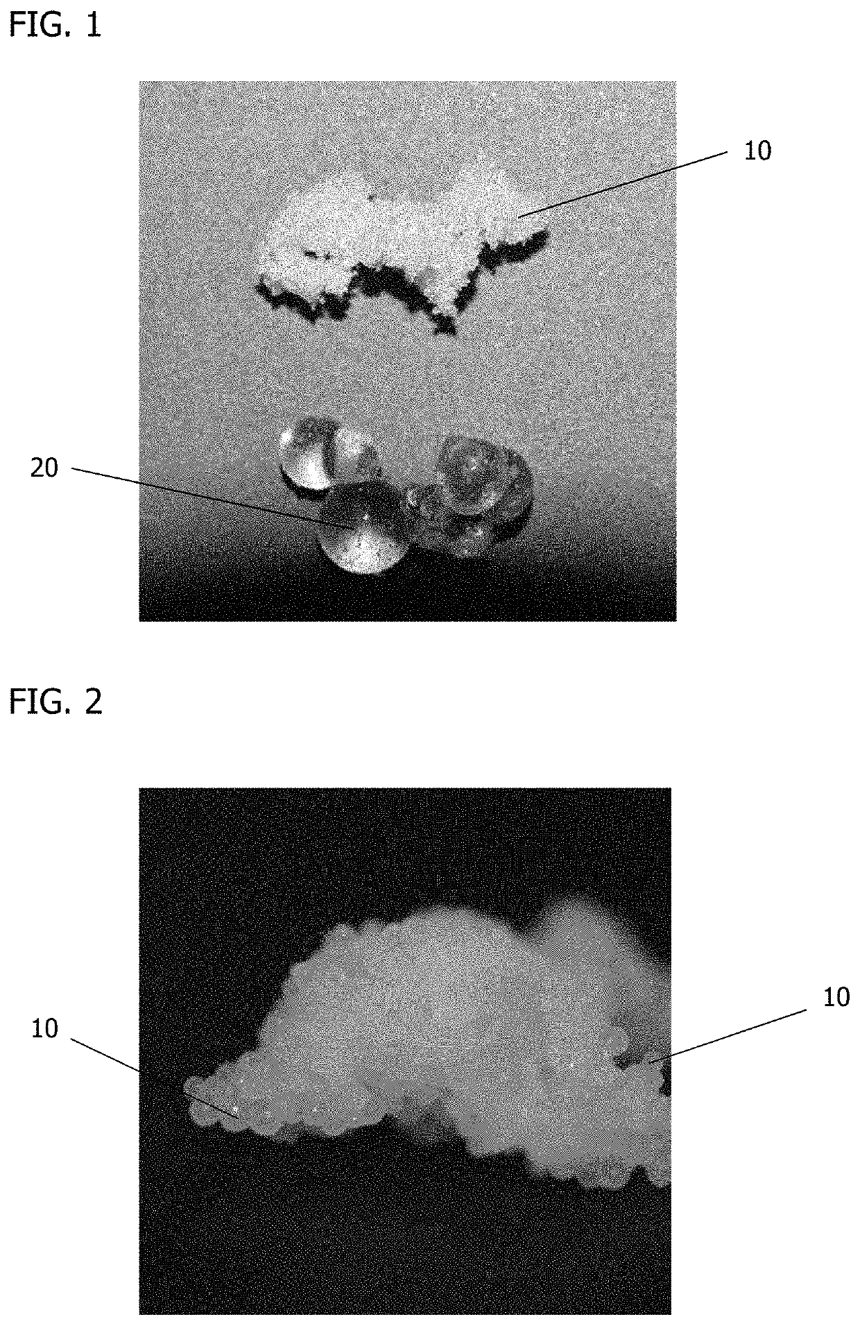 Cured biodegradable microparticles and scaffolds and methods of making and using the same