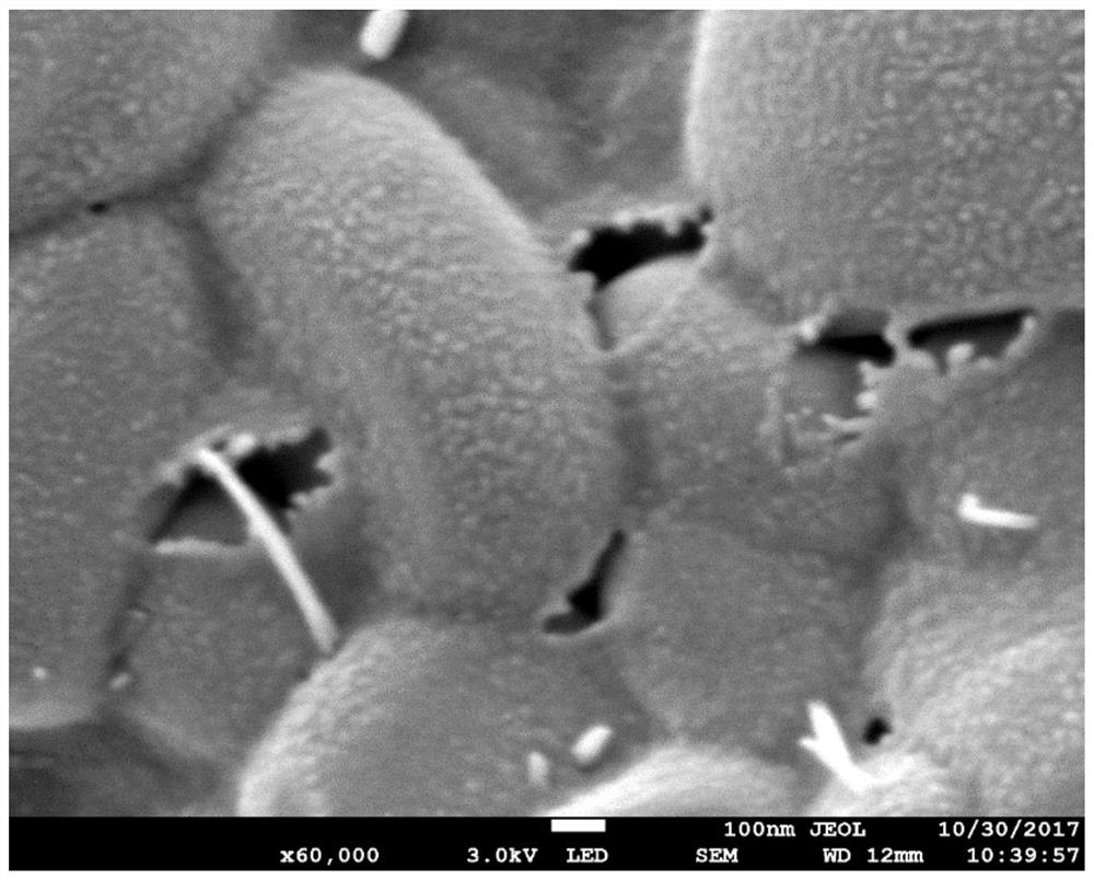 A kind of preparation method of carbon-coated ternary positive electrode material