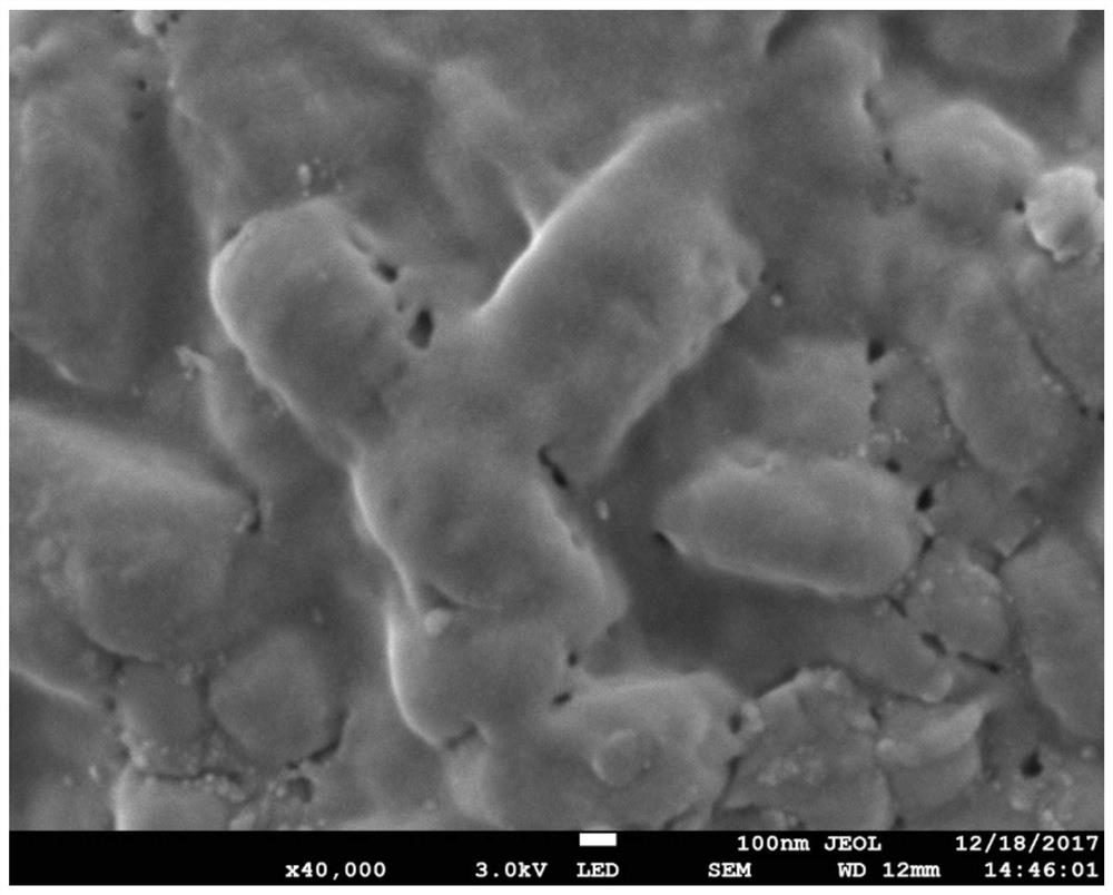 A kind of preparation method of carbon-coated ternary positive electrode material