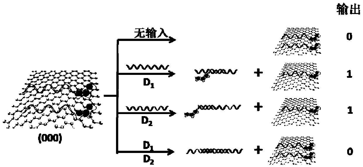 Preparation of a label-free parity checker and its application in logic imaging