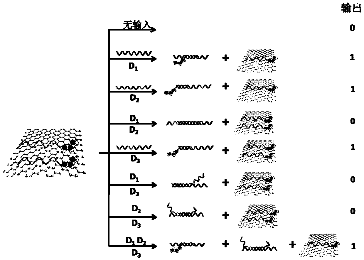 Preparation of a label-free parity checker and its application in logic imaging