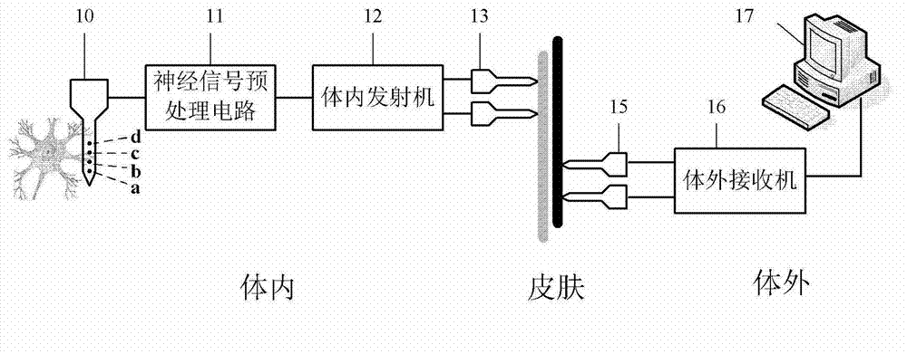 Implantable neural signal recording system based on body channel transmission technology