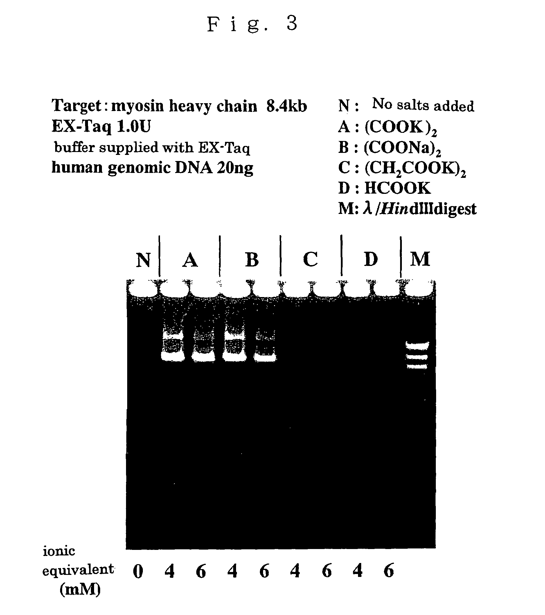 Compositions for enhancing DNA synthesis, DNA polymerase-related factors and utilization thereof