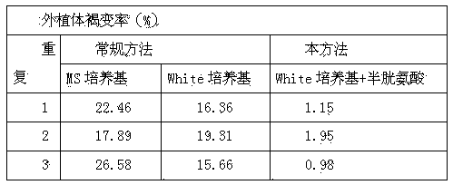 Method for inhibiting contamination and browning of toxicodendron vernicifluum explants