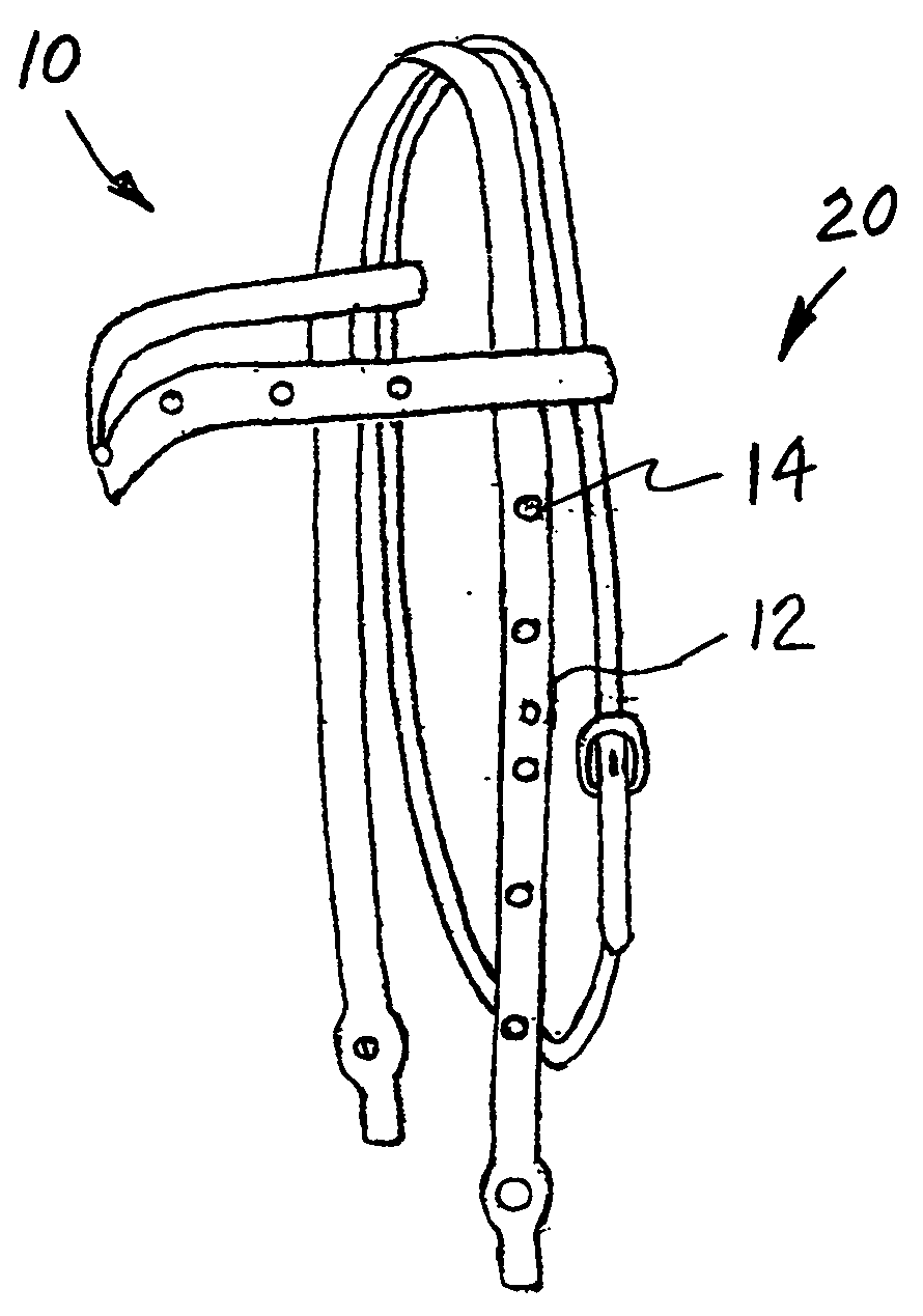 Light up horse equipment