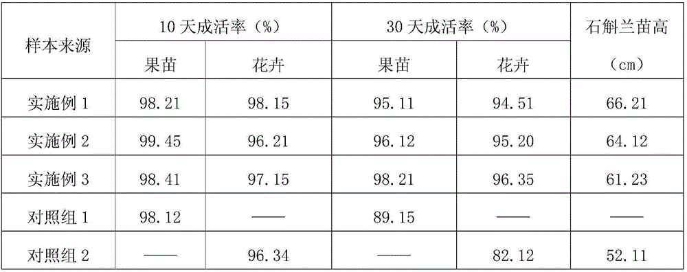 Efficient multiple cropping cultivation technique for Indian jujube